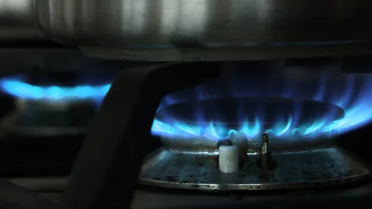 Les résidents de la zone de gouvernement local de Woollahra sont confrontés à une interdiction des cuisinières à gaz et des systèmes d'eau chaude dans les nouvelles constructions et les rénovations majeures.