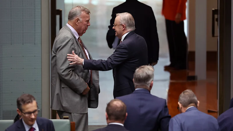 Offre de recrutement d'Anthony Albanese : One Nation rejette la proposition du Premier ministre visant à recruter du personnel supplémentaire pour David Farley
