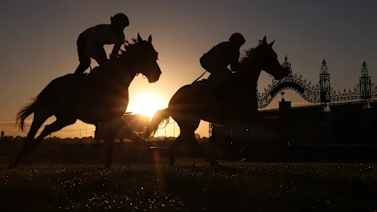 James McDonald sur St. Gotthard et Jye McNeil à bord de Steel Will sur la piste de Flemington mardi matin.