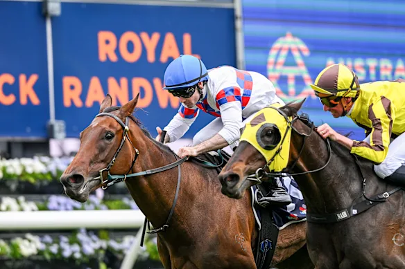 Stand My Ground, à gauche, remporte le Four Pillars Midway.