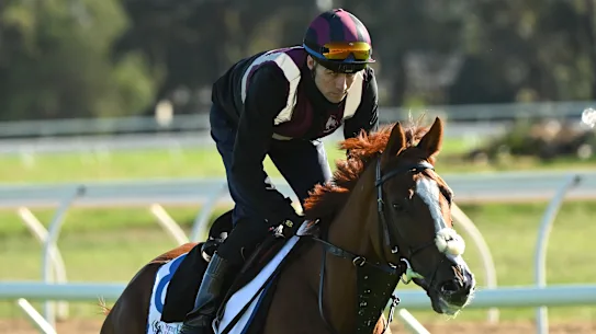 Le Joseph O'Brien s'est entraîné avec défi lors d'un galop sur piste à Werribee.