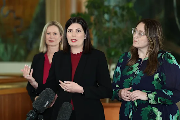 La sénatrice Marielle Smith a annoncé l'enquête sur la santé post-partum à Canberra en août avec la ministre adjointe Rebecca White (à gauche) et Emma McBride (à droite).