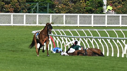 Ohope Wins se trouve sur la piste de Caulfield aux côtés des jockeys Mark Zahra et Jye McNeill alors que Half Yours continue sans coureur.