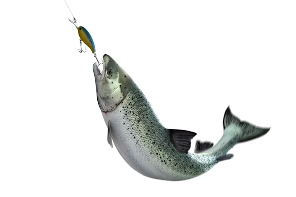 Terry dit qu'il pêche au chalut sur le Hawkesbury, tandis que sa femme Lisa croit qu'il pêche à la traîne. Qui a raison ?