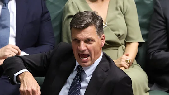 Le chef de l'opposition Angus Taylor réagit alors que le Premier ministre Anthony Albanese s'exprime à l'heure des questions.