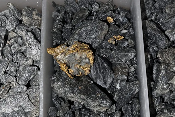 Le forage principal à circulation inverse de New Murchison Gold a livré de l'or grossier abondant dans des copeaux de forage provenant de son intervalle à haute teneur.