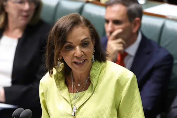La ministre de la Petite Entreprise, Anne Aly, lors de l'heure des questions lundi, avec le trésorier Jim Chalmers derrière.