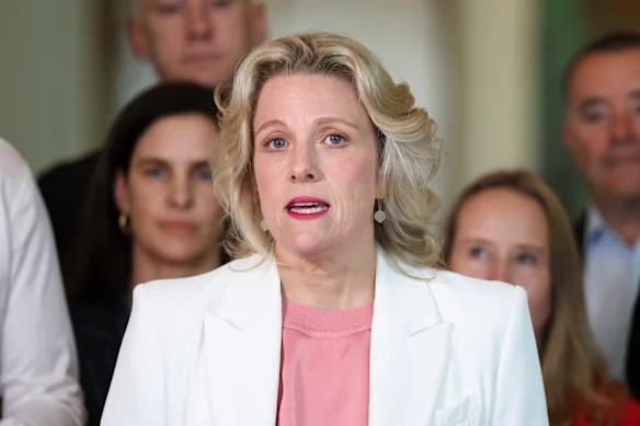 La ministre du Logement, Clare O'Neil, a déclaré que le gouvernement était préoccupé par la proposition de l'ATO.