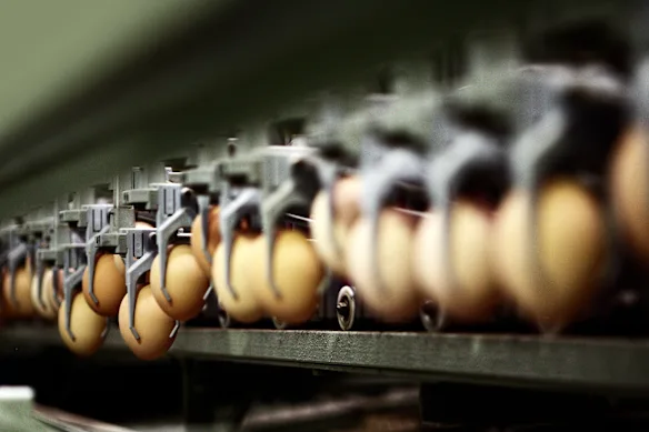 L’ACCC a allégué que depuis au moins octobre 2020, les principaux fournisseurs et producteurs d’œufs se sont coordonnés sur une série de décisions commerciales qui ont probablement réduit considérablement la concurrence pendant de nombreuses années.