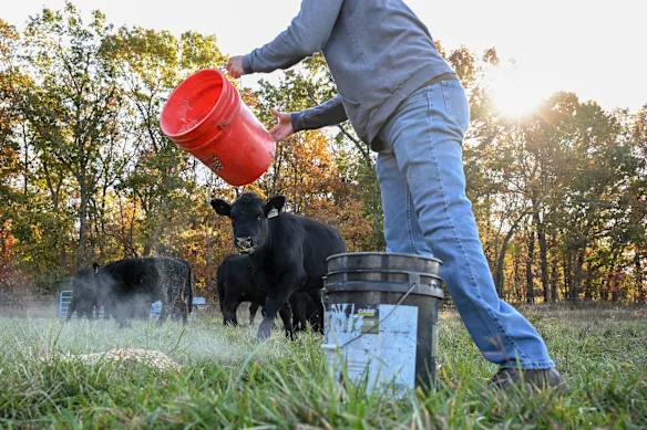 La dette agricole totale des États-Unis a atteint 605 milliards de dollars. La guerre de Trump a ajouté à la douleur.