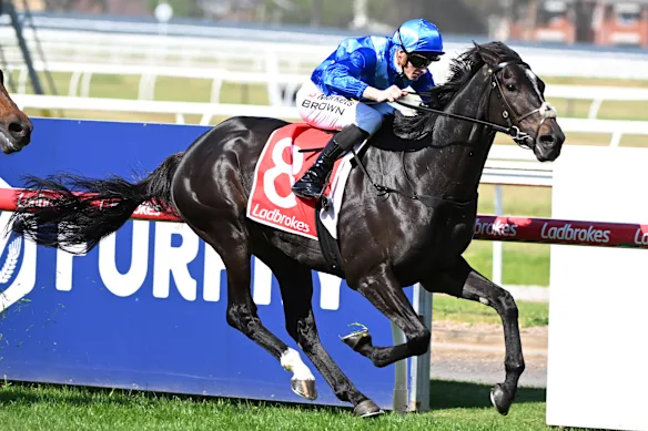 Les propriétaires Ozzie Kheir et John O'Neill ont encore trois coureurs de la Melbourne Cup, dont Point of Law, vainqueur de la Geelong Cup.